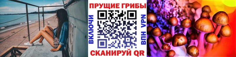 Псилоцибиновые грибы прущие грибы  Александровск-Сахалинский 